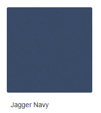 Jagger Navy